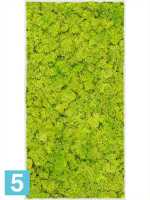 Картина из искусственного мха stiel l матовая 100% олений мох (весенне-зеленый) светлый фон l-100 w-50 h-6 см в #REGION_NAME_DECLINE_PP#