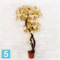 Дерево золотое искусственное Alseed, 2кр. ориг.ст.180, 180 см. в #REGION_NAME_DECLINE_PP#