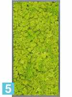 Картина из искусственного мха атласный блеск 100% олений мох (весенний зеленый) l-120 w-60 h-6 см в #REGION_NAME_DECLINE_PP#