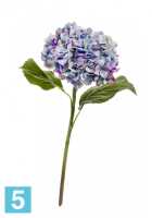 Искусственный цветок для декора Гортензия Holland dry сиренево-голубая с фиолетовым TREEZ Collection в #REGION_NAME_DECLINE_PP#
