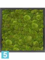Картина из искусственного мха сатин блеск 100% шаровый мох темный l-40 w-40 h-6 см в #REGION_NAME_DECLINE_PP#