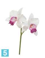 Искусственный цветок для декора Орхидея Каттлея белая с темно-розовым язычком TREEZ Collection в #REGION_NAME_DECLINE_PP#
