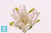 Искусственный цветок для декора Лотос (кувшинка) 16d кремовый (плавающий в воде) в #REGION_NAME_DECLINE_PP#