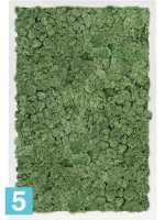 Картина из искусственного мха сатин блеск 100% олений мох (мох зеленый) l-60 w-40 h-6 см в #REGION_NAME_DECLINE_PP#