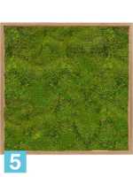 Картина из искусственного мха бамбук 100% плоский мох l-80 w-80 h-6 см в #REGION_NAME_DECLINE_PP#