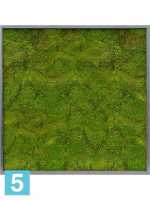 Картина из искусственного мха сатин блеск 100% плоский мох серый фон l-100 w-100 h-6 см в #REGION_NAME_DECLINE_PP#