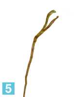 Искусственная ветка Салекса зелено-коричневая (2 уса) TREEZ Collection в #REGION_NAME_DECLINE_PP#
