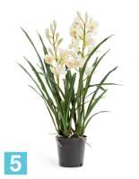 Искусственный цветок в горшке Орхидея Цимбидиум белая куст (в кашпо) 2 ветки TREEZ Collection в #REGION_NAME_DECLINE_PP#