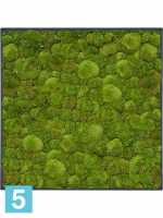 Картина из искусственного мха stiel l матовая 100% шаровой мох темный фон l-70 w-70 h-6 см в Москве