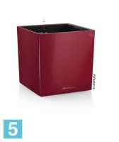 Кашпо с автополивом Lechuza Cube, красное 40-l, 40-w, 40-h в #REGION_NAME_DECLINE_PP#