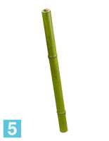 Искусственный стебель Бамбука полый светло зеленый толстый TREEZ Collection в #REGION_NAME_DECLINE_PP#