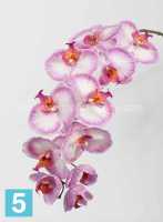 Искусственный цветок для декора Орхидея Фаленопсис "Jumbo" Sensitive Botanic 11dx102h бело-розовый (11 цветков) в Москве