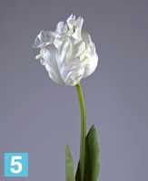 Искусственный цветок для декора Тюльпан Попугай белый 77h TREEZ Collection в #REGION_NAME_DECLINE_PP#