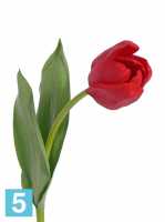 Искусственный цветок для декора Тюльпан Королевский "Royal" Sensitive Botanic 5dx48h красный (2 листа) в #REGION_NAME_DECLINE_PP#