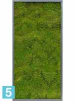Картина из искусственного мха сатин блеск 100% плоский мох серый фон l-120 w-60 h-6 см в #REGION_NAME_DECLINE_PP#