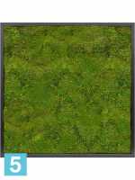 Картина из искусственного мха satin gloss 100% плоский мох темный фон l-80 w-80 h-6 см в #REGION_NAME_DECLINE_PP#