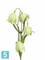 Рябчик зелено-белый искусственный Top Art (4 цветка) 45h в #REGION_NAME_DECLINE_PP#