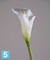 Искусственный цветок для декора Калла белая раскрытая TREEZ Collection в #REGION_NAME_DECLINE_PP#