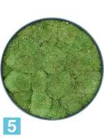 Картина из искусственного мха изысканная сосна зеленая 100% шар мох d-50 h-5 см