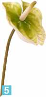 Искусственный цветок для декора Антуриум 8dx47h зелёно-белый в #REGION_NAME_DECLINE_PP#