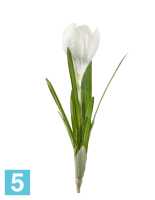 Искусственный цветок для декора Крокус белый 20 см TREEZ Collection в #REGION_NAME_DECLINE_PP#