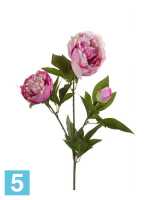 Искусственный цветок для декора Пион ветка 2 цветка 1 бутон 70см розовый в #REGION_NAME_DECLINE_PP#