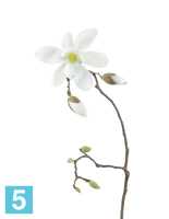 Искусственный цветок для декора Магнолия белая ветвь TREEZ Collection в #REGION_NAME_DECLINE_PP#