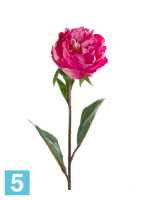 Искусственный цветок для декора Пион 10dx68h темно-розовый в #REGION_NAME_DECLINE_PP#