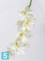 Искусственный цветок для декора Орхидея Цимбидиум искусственая JAMBO 91h кремовый (10 цветков) в #REGION_NAME_DECLINE_PP#