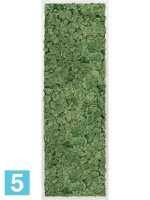 Картина из искусственного мха алюминий 100% олений мох (мох зеленый) l-120 w-40 h-6 см в #REGION_NAME_DECLINE_PP#