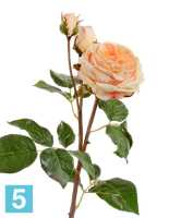 Искусственный цветок для декора Роза Дэвид Остин Мидл ветвь светло-персиковая TREEZ Collection в #REGION_NAME_DECLINE_PP#