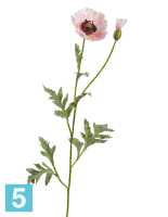 Искусственный цветок для декора Мак восточный светло-розовый TREEZ Collection в #REGION_NAME_DECLINE_PP#
