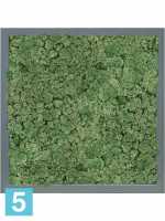 Картина из искусственного мха атласный блеск 100% олений мох (мох зеленый) светлый фон l-40 w-40 h-6 см в #REGION_NAME_DECLINE_PP#