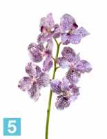 Искусственный цветок для декора Орхидея Ванда бело-фиолетовая TREEZ Collection в #REGION_NAME_DECLINE_PP#