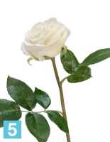 Искусственный цветок для декора Роза Флорибунда Мидл белая д-8 см TREEZ Collection в #REGION_NAME_DECLINE_PP#