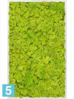 Картина из искусственного мха алюминий 100% олений мох (весенний зеленый) l-100 w-60 h-6 см в #REGION_NAME_DECLINE_PP#