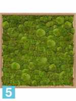 Картина из искусственного мха бамбук 100% шар мох l-80 w-80 h-6 см в #REGION_NAME_DECLINE_PP#