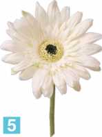 Искусственный цветок для декора Гербера 10dx60h зелено-белый (Sensitive Botanic) в #REGION_NAME_DECLINE_PP#