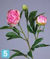 Искусственный цветок для декора Пион розовый ветвь 60 см TREEZ Collection в Москве