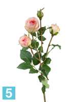 Искусственный цветок для декора Роза Пале-Рояль ветвь нежно-розовая TREEZ Collection в #REGION_NAME_DECLINE_PP#