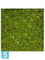 Картина из искусственного мха сатин блеск 100% шаровой мох l-100 w-100 h-6 см в #REGION_NAME_DECLINE_PP#
