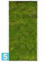 Картина из искусственного мха сатин блеск 100% плоский мох светлый фон l-120 w-60 h-6 см в #REGION_NAME_DECLINE_PP#