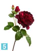 Искусственный цветок для декора Роза Дэвид Остин Роял ветвь бордово-красная TREEZ Collection в Москве