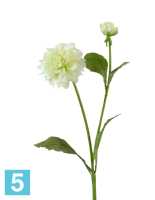Искусственный цветок для декора Георгин бело-зеленый TREEZ Collection в #REGION_NAME_DECLINE_PP#