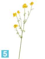 Искусственный цветок для декора Ранункулюс Полевой желтый TREEZ Collection в #REGION_NAME_DECLINE_PP#