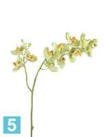 Искусственный цветок для декора Орхидея Фаленопсис светло-лаймовый ветвь двойная TREEZ Collection в #REGION_NAME_DECLINE_PP#