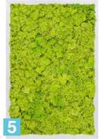 Картина из искусственного мха алюминий 100% олений мох (весенний зеленый) l-60 w-40 h-6 см в #REGION_NAME_DECLINE_PP#