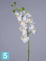 Искусственный цветок для декора Орхидея Фаленопсис Элегант белая TREEZ Collection в #REGION_NAME_DECLINE_PP#