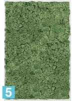 Картина из искусственного мха алюминий 100% олений мох (мох зеленый) l-120 w-80 h-6 см в #REGION_NAME_DECLINE_PP#