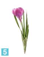 Искусственный цветок для декора Крокус розовый 20 см TREEZ Collection в #REGION_NAME_DECLINE_PP#